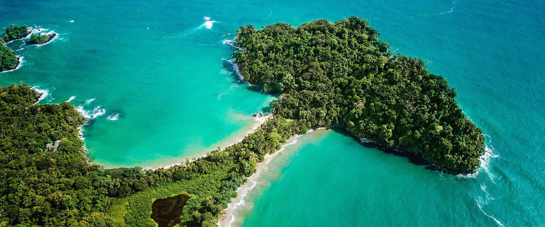 The History of Manuel Antonio National Park: A Triumph for Quepos