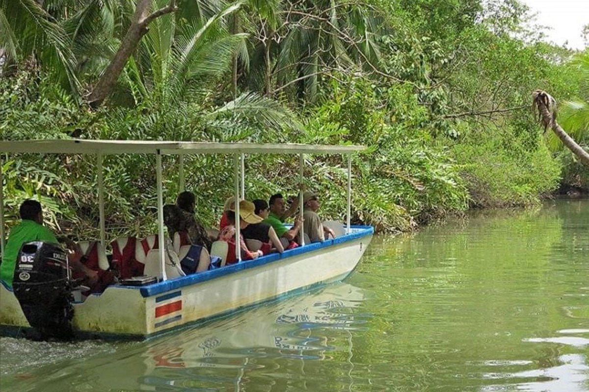 Isla Damas Mangrove Tour