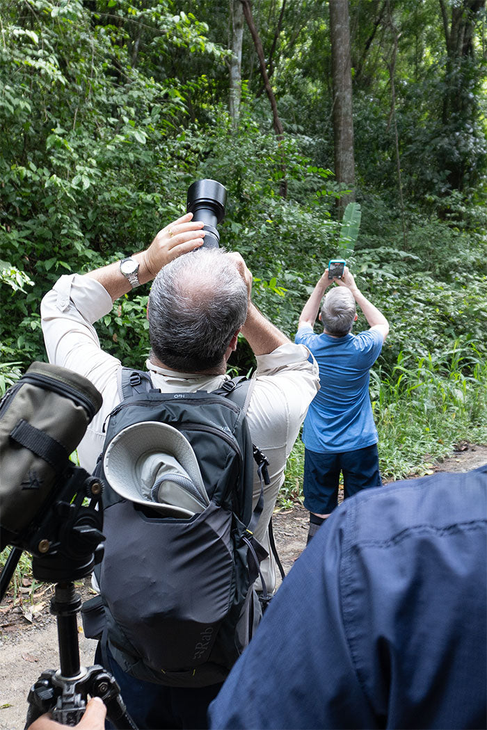 Manuel Antonio National Park Tour