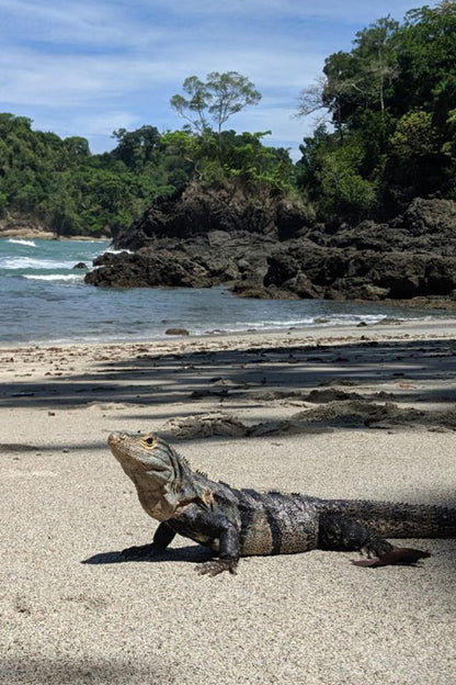 Manuel Antonio National Park Tour